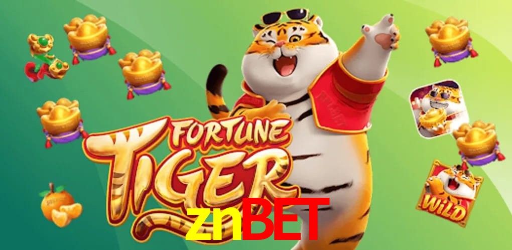 Experiência VIP znbet