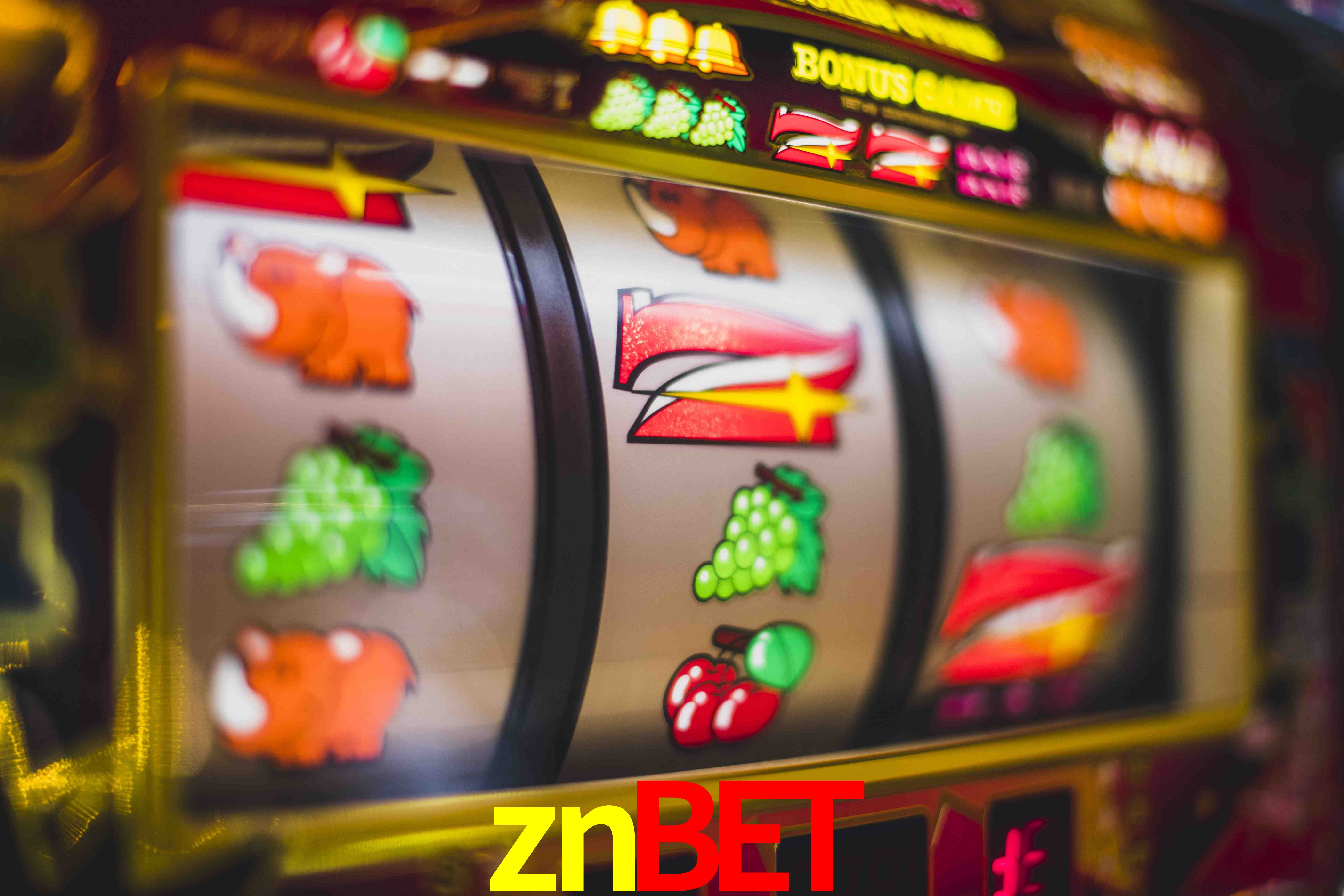 Basketball Betting znbet